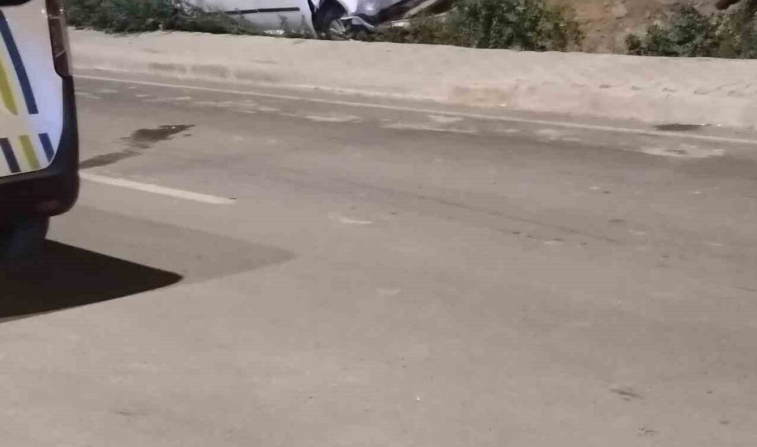 Osmaniye’nin Düziçi ilçesinde, Yüzüncü Yıl Mahallesi Muhsin Yazıcıoğlu Bulvarı Çevre