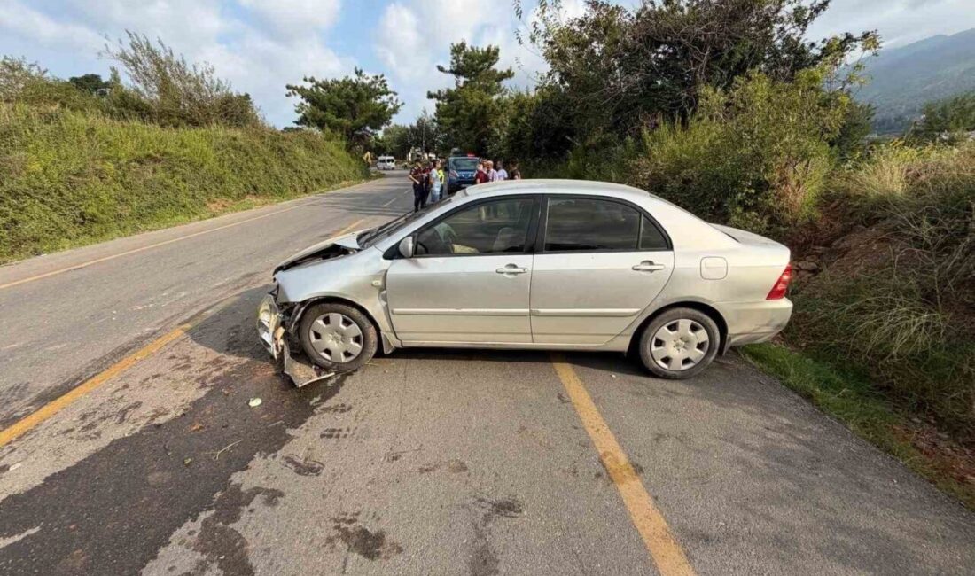 Düziçi ilçesinde meydana gelen trafik kazasında bir sürücü yaralandı. Olay,