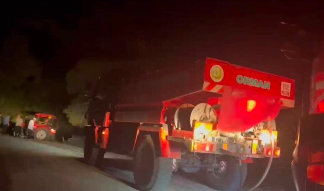 Kadirli ilçesine bağlı Kızyusuflu köyü Cennetler Mahallesi’nde meydana gelen orman