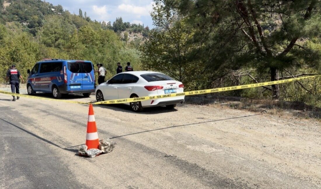 Bahçe ilçesindeki bir kaza sonucunda 64 yaşındaki Gaffar Beğit hayatını