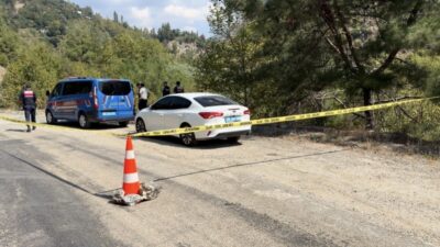 Bahçe ilçesindeki bir kaza sonucunda 64 yaşındaki Gaffar Beğit hayatını