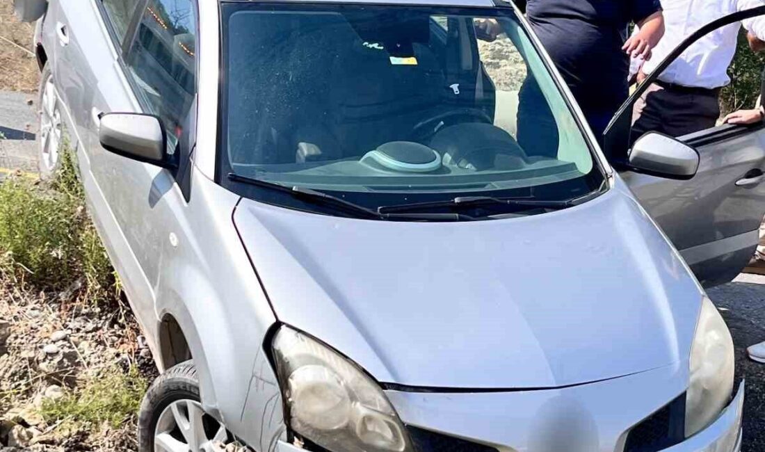 Bahçe ilçesine bağlı Buğdacık köyünde meydana gelen trafik kazasında, sürücüsünün