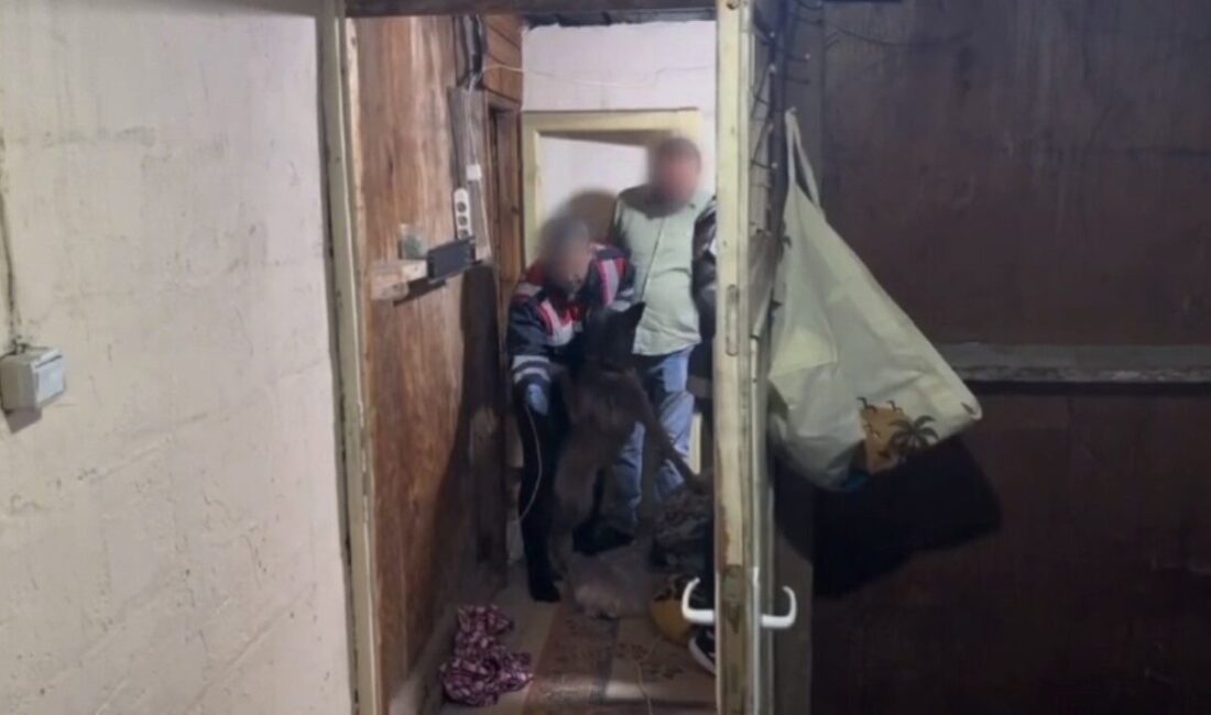 Osmaniye ilinde Jandarma ekipleri tarafından Zorkun Yaylası’ndaki bir eve gerçekleştirilen