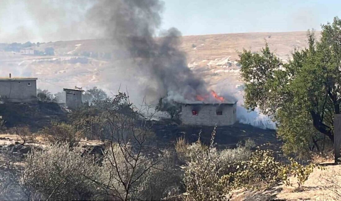 Nevşehir ilindeki otluk alanda başlayan yangın, rüzgarın etkisiyle bağ evlerinin