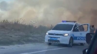 Kapaklı ilçesinde Adnan Menderes Mahallesi Barış Manço Bulvarı üzerindeki otluk