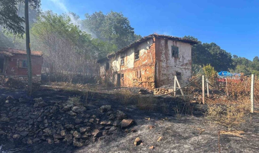 Bilecik’in Bozüyük ilçesine bağlı Aşağı Armutlu köyünde, otluk alanda başlayan