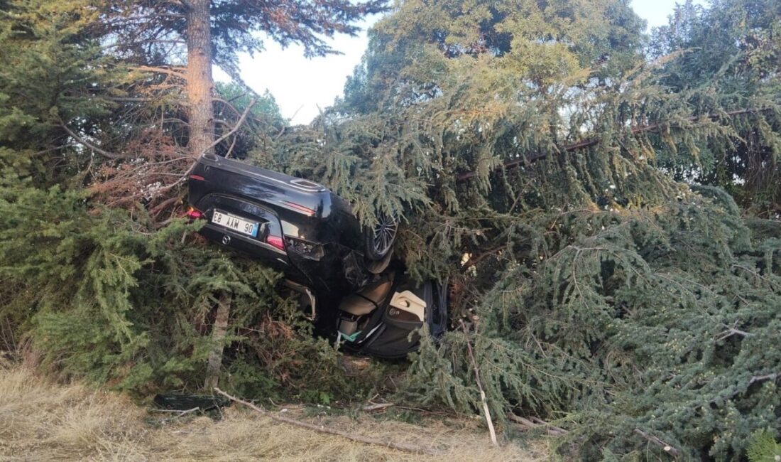 Elazığ’da meydana gelen bir trafik kazasında, bir kişi yaralandı. Olay,