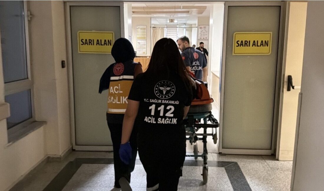 Adıyaman’da, yolun karşısında geçmeye çalışan 7 yaşındaki Güneş Avcı, bir