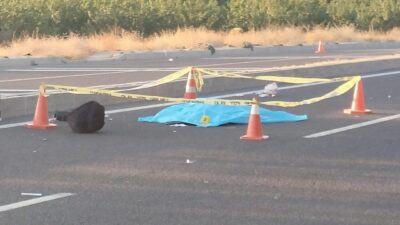 Darende ilçesinde bir otomobilin çarpması sonucu 68 yaşındaki bir kadın