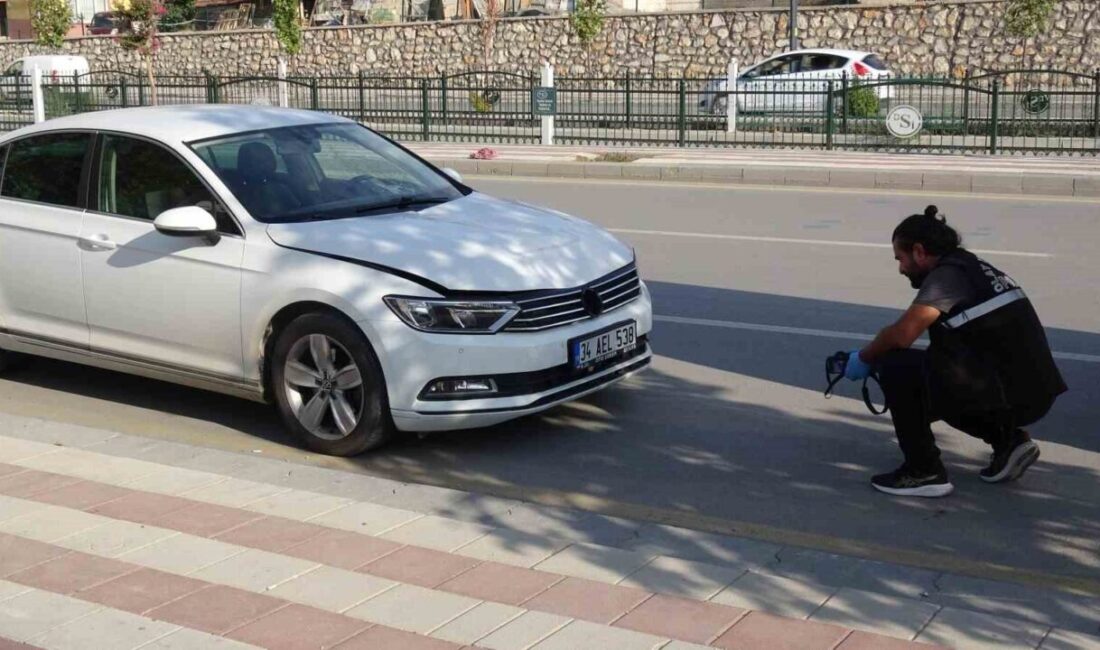 Malatya’da, yaşlı bir adamın yolun karşısına geçmeye çalışırken otomobil çarpması