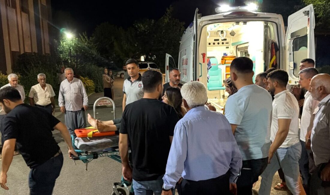 Kahta ilçesinde meydana gelen trafik kazasında bir yayayı ağır bir