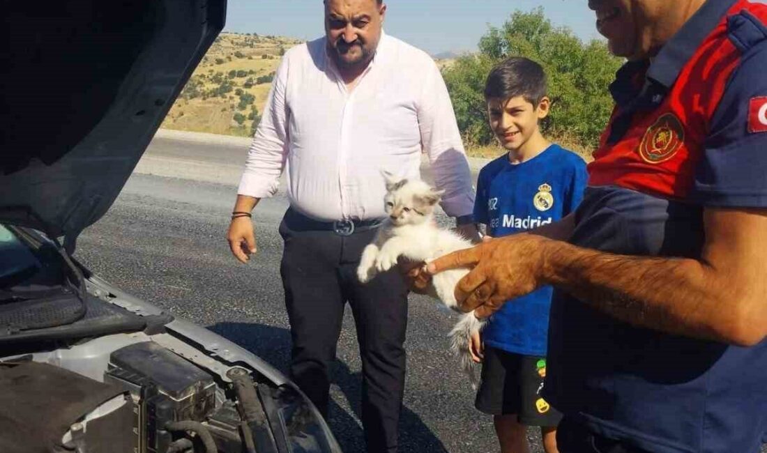 Adıyaman’ın Besni ilçesinde bir kedinin, bir otomobilin motor bölümüne sıkışması