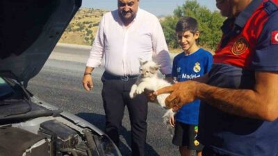 Adıyaman’ın Besni ilçesinde bir kedinin, bir otomobilin motor bölümüne sıkışması