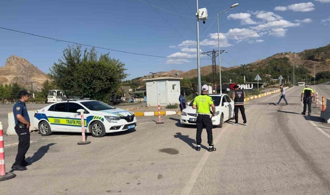 Palu ilçesinde polis ekipleri tarafından geniş kapsamlı bir huzur ve