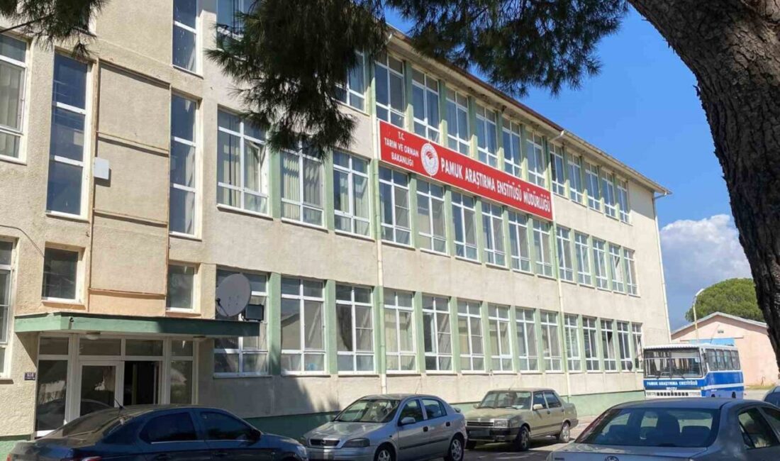 Nazilli Pamuk Araştırma Enstitüsü’ne özel firmalardan rüşvet alındığı iddiasıyla yapılan