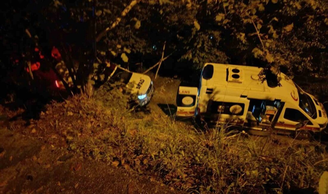 Rize Çayeli ilçesinde park ederken kontrolü kaybolan bir aracın uçuruma