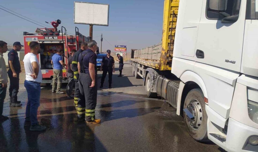 Adıyaman’da bir kilitli parke taşı yüklü tırın alev almasıyla paniğe
