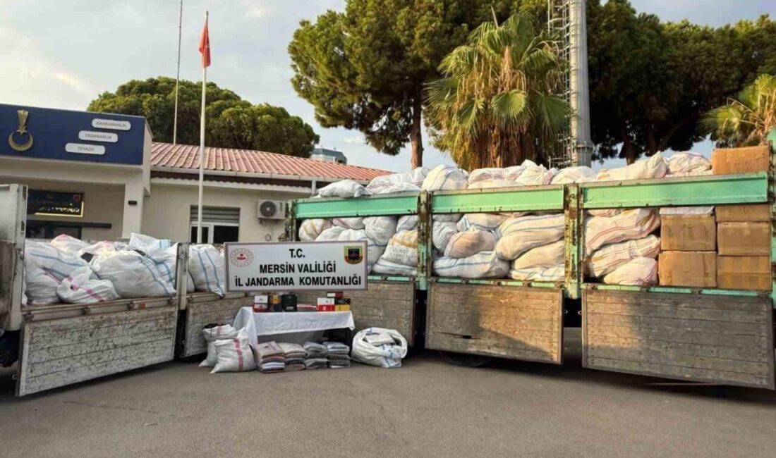 Mersin’de Jandarma ekiplerinin operasyonunda, piyasa değeri 50 milyon lira olan