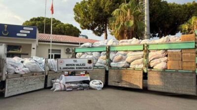 Mersin’de Jandarma ekiplerinin operasyonunda, piyasa değeri 50 milyon lira olan
