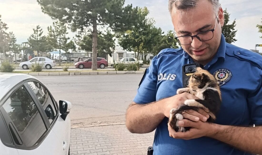 Konya’nın Beyşehir ilçesinde, bir otomobilin motor bölümüne sıkışan bir kedi,