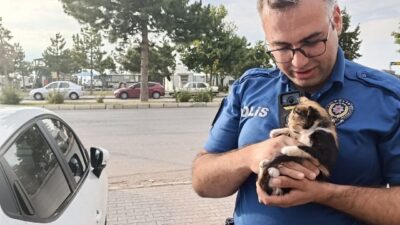 Konya’nın Beyşehir ilçesinde, bir otomobilin motor bölümüne sıkışan bir kedi,