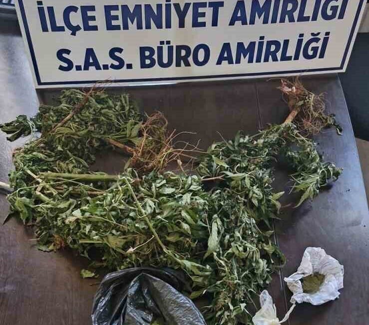 Dicle ilçesinde devriye gezen polis ekipleri, yeşil bitkilerle koşan bir