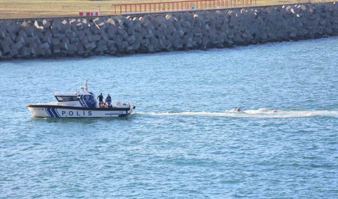 Batıya giderek Gürcistan’dan havalanan ve motor arızası sebebiyle Rize açıklarına