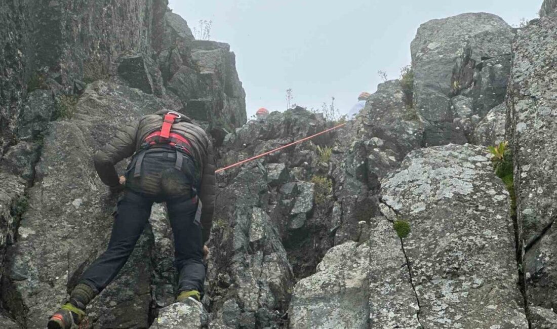 Rize’nin Çamlıhemşin ilçesine bağlı Avusor Yaylası’nda Kaçkar Dağı eteklerinde kaybolan