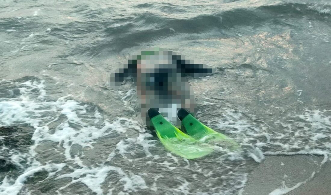 Söke ilçesinde muhasebeci yardımcısı olarak çalışan 66 yaşındaki Üzeyir Taşyumru’nun,