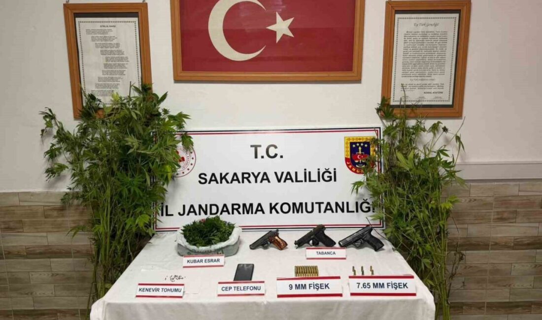 Sakarya’nın Pamukova, Karasu ve Kocaali ilçelerinde jandarma ekipleri tarafından gerçekleştirilen