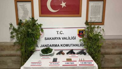 Sakarya’nın Pamukova, Karasu ve Kocaali ilçelerinde jandarma ekipleri tarafından gerçekleştirilen