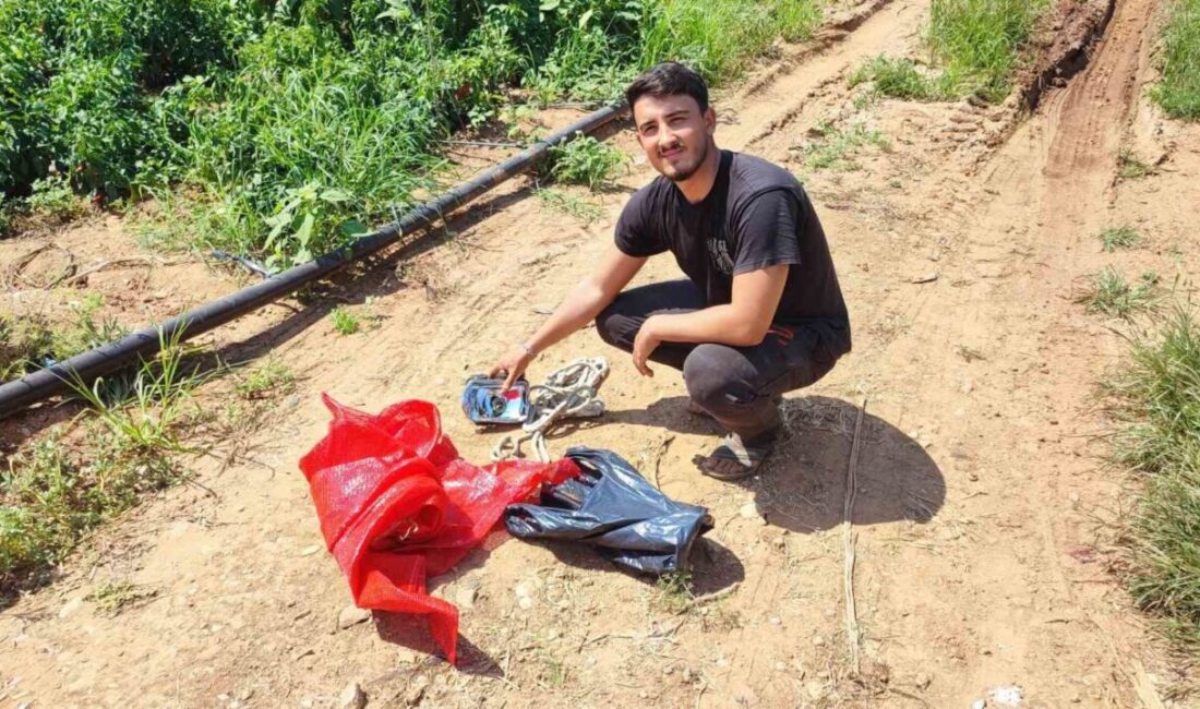 Adana’da bir biber tarlasına geceleyin giren hırsızlar, yaklaşık bir ton