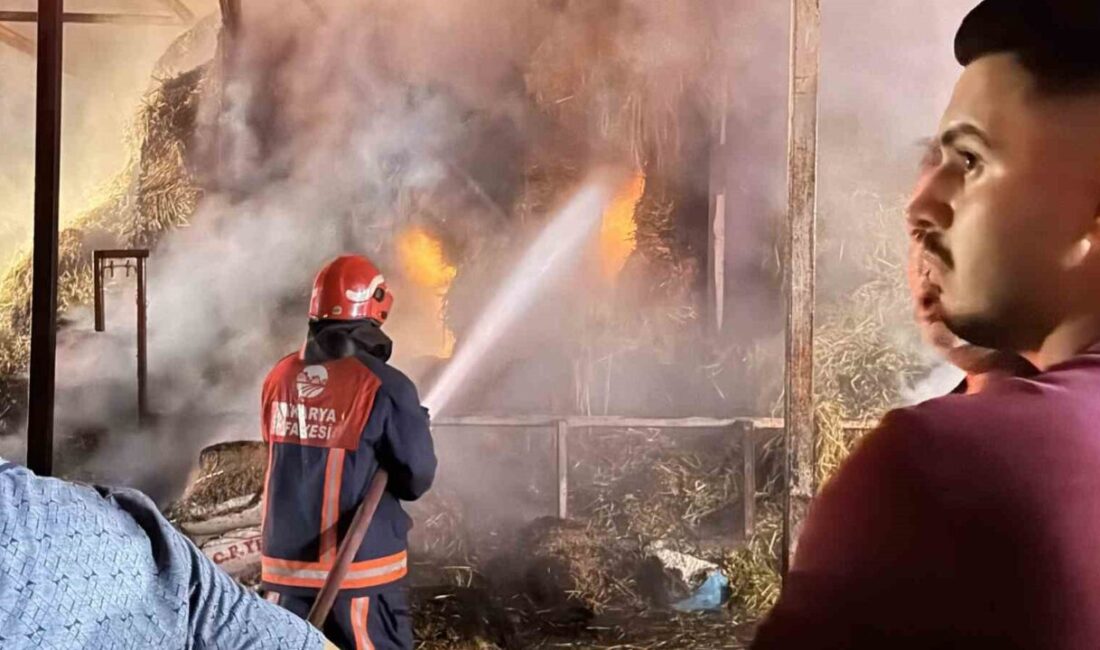 Sakarya’nın Adapazarı ilçesinde meydana gelen yangın faciasında binlerce saman balyası