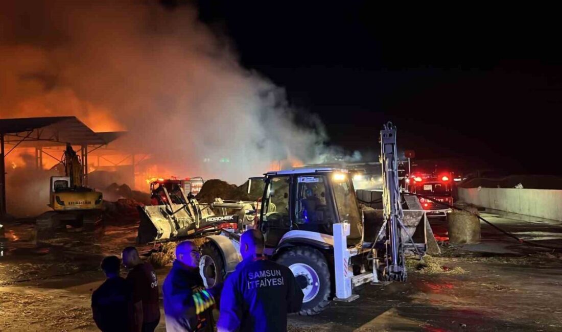 Samsun’daki bir çiftlikte bulunan saman deposu, yangın sebebiyle tamamen alevlere