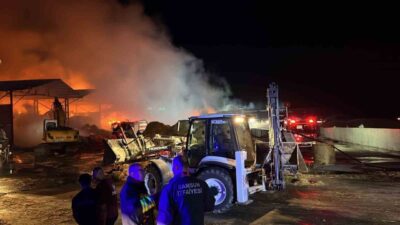 Samsun’daki bir çiftlikte bulunan saman deposu, yangın sebebiyle tamamen alevlere