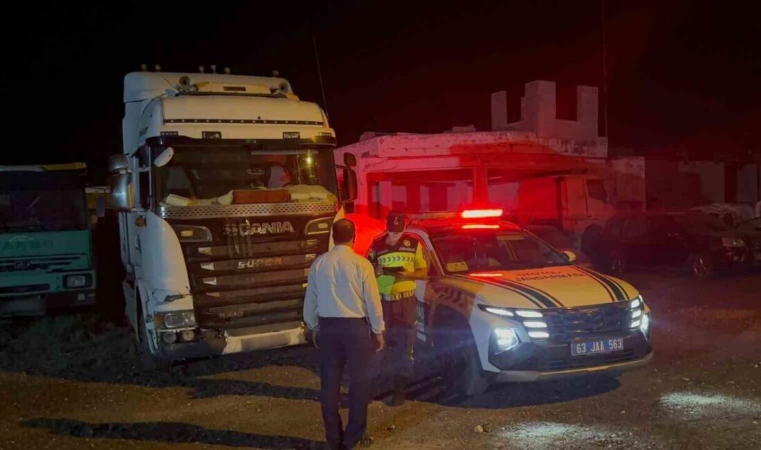 Şanlıurfa’da sahte plaka kullandığı tespit edilen bir tır sürücüsü, jandarma