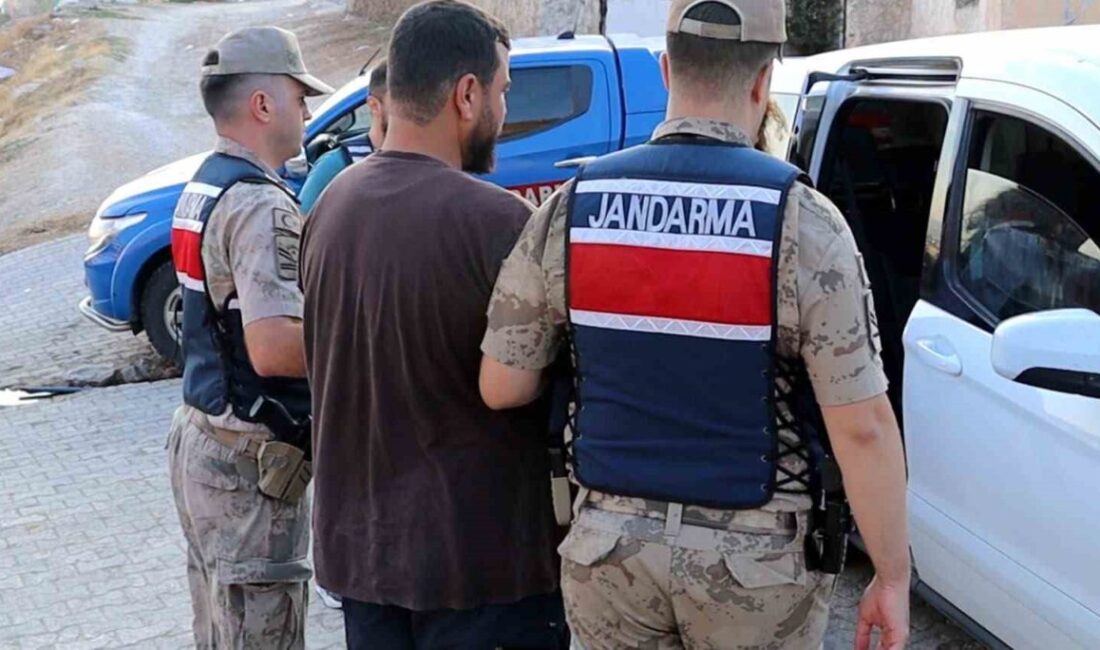 Şanlıurfa İl Jandarma Komutanlığı ekipleri, firarileri yakalamaya yönelik çalışmalarını sürdürüyor.