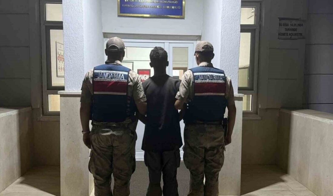 Şanlıurfa’da jandarma ekipleri, göçmen kaçakçılarına yönelik düzenledikleri operasyonda 20 kişiyi