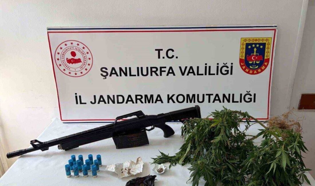 Şanlıurfa’da Jandarma ekipleri tarafından yapılan operasyonlarda uyuşturucu madde ele geçirildi