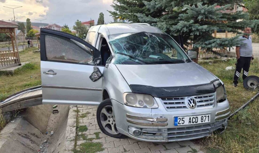 Sarıkamış ilçesinde meydana gelen bir trafik kazasında, sürücüsü direksiyon hakimiyetini
