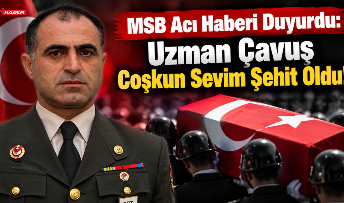 Milli Savunma Bakanlığı (MSB), Suriye’de yürütülen Zeytin Dalı Harekâtı bölgesinden