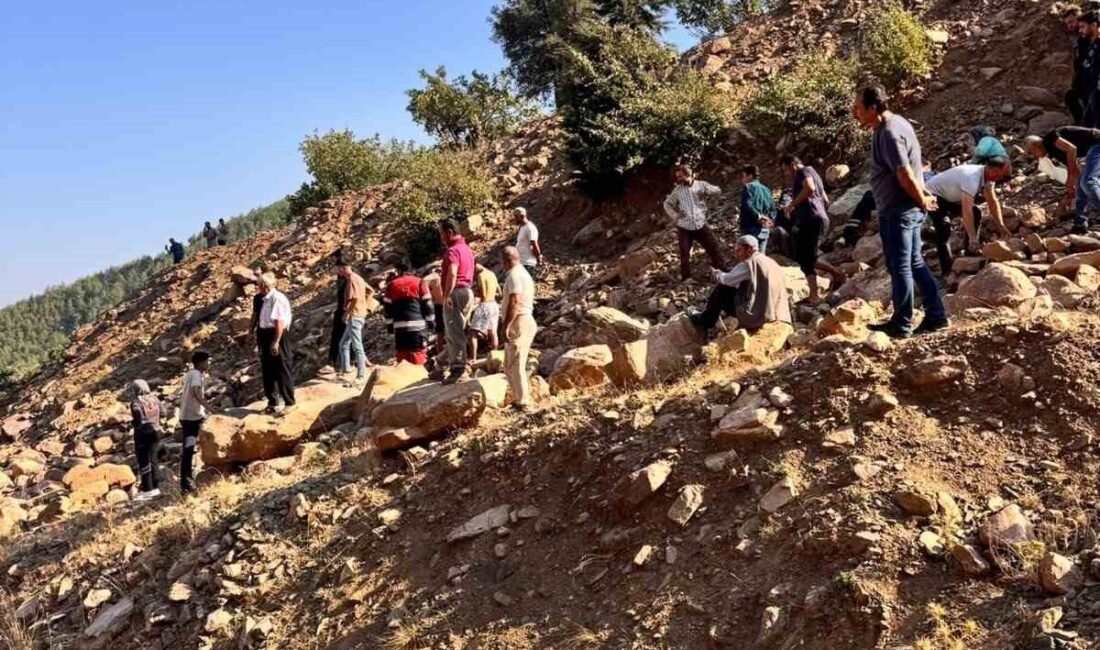Hatay’ın Hassa ilçesine bağlı Arpalıuşağı Mahallesi’nde meydana gelen kazada sepetli