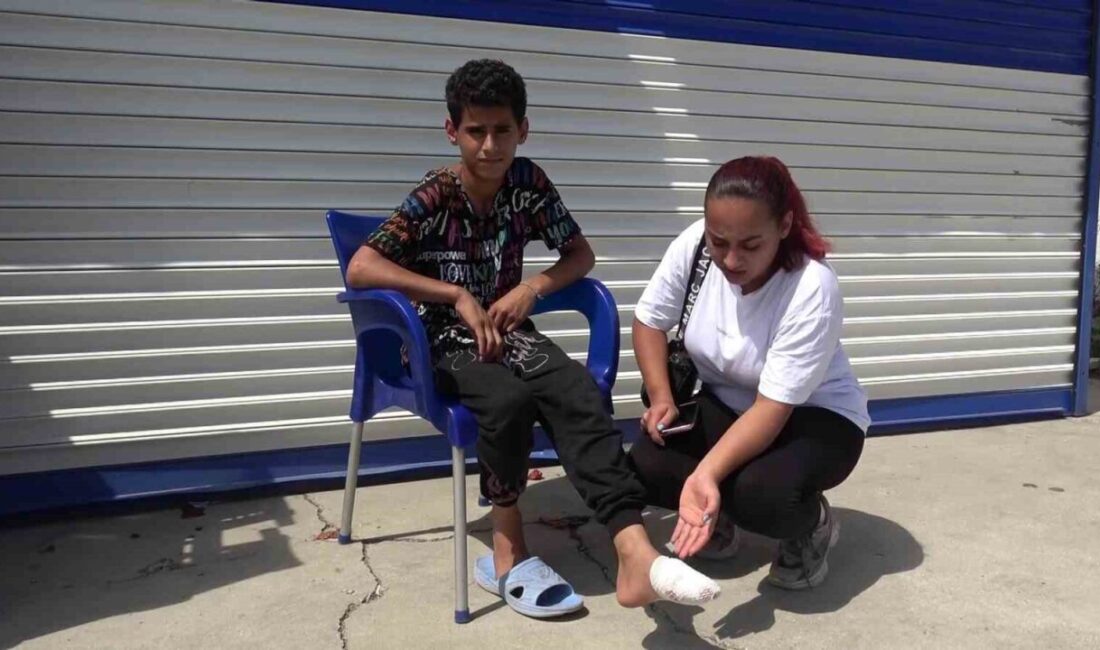 Hatay’da, Samandağ ilçesine bağlı Tomruksuyu Mahallesi’nde 14 yaşındaki Muhammed Salih
