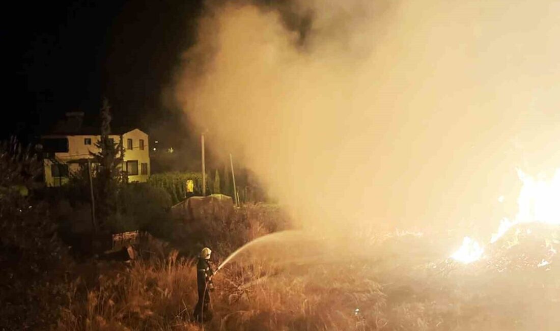 Muğla’nın Seydikemer ilçesine bağlı Kumluova Mahallesi’nde, mezarlık yakınındaki bitkisel çöp