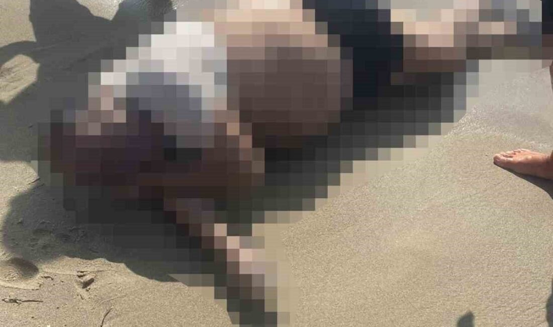 Kuşadası ilçesinde müteahhitlik yapan ve Yunanistan’ın Samos Adası’na seyahatinden dönerken