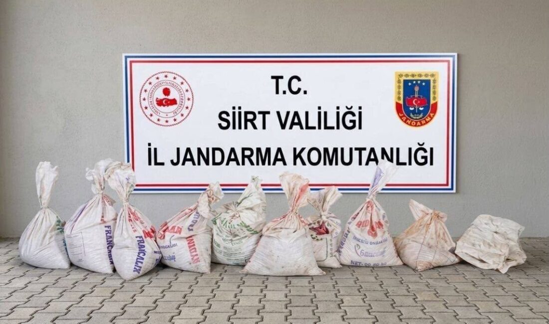 Siirt’te bir fıstık bahçesinden yaklaşık 300 kilogram fıstık çalma girişiminde