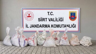 Siirt’te bir fıstık bahçesinden yaklaşık 300 kilogram fıstık çalma girişiminde