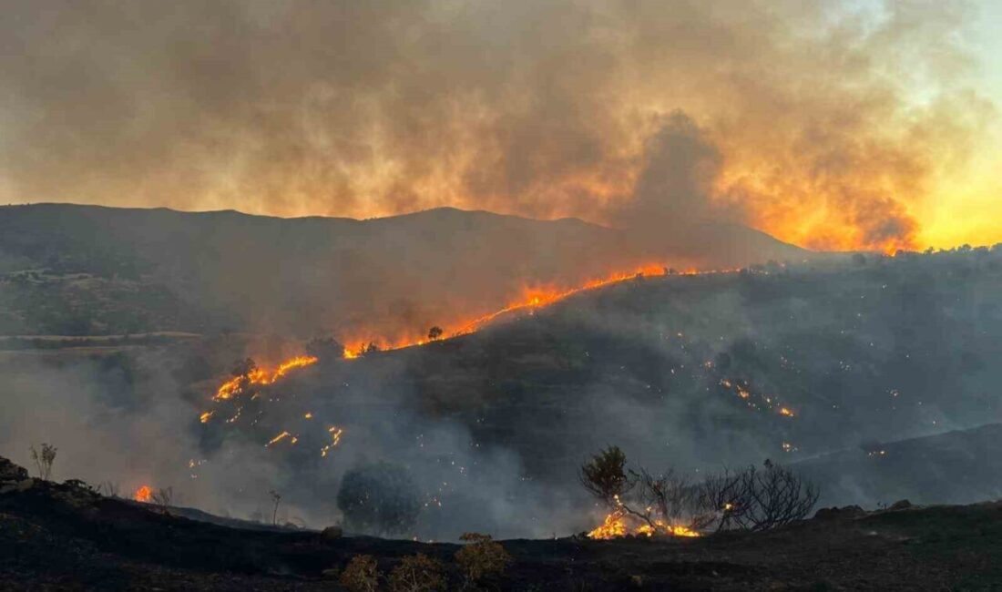 Siirt’in Baykan ilçesine bağlı Gümüşkaş köyü yakınlarında otluk alanda yangın