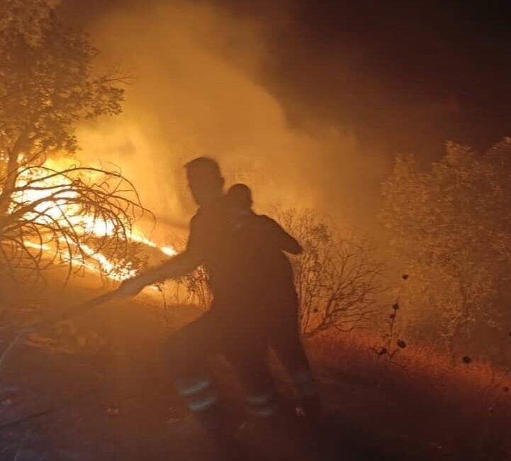 Gümüşkaş köyünde meydana gelen yangın, Siirt Valiliği tarafından yapılan açıklamaya