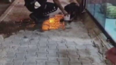 Samandağ ilçesinde, bir sokak köpeği silahla vurularak yaralandı ve bu